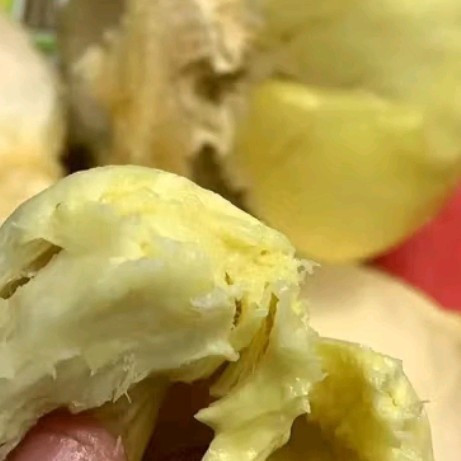 泰国金枕榴莲王炸来袭！巴掌长柄整果3.1-4.1斤/颗 净重整箱批发