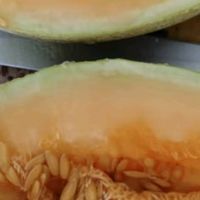 奇果出疆｜顺丰空运直抵舌尖！新疆西州蜜网纹瓜爆甜锁鲜