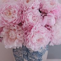 母亲节送礼指南：这些走心好物让妈妈笑开花