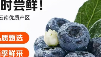 京鲜生 云南蓝莓 12盒15mm+装 125g/盒 生鲜水果 源头直发 