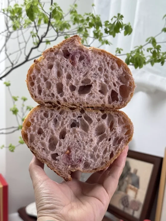 鲁邦种硬欧