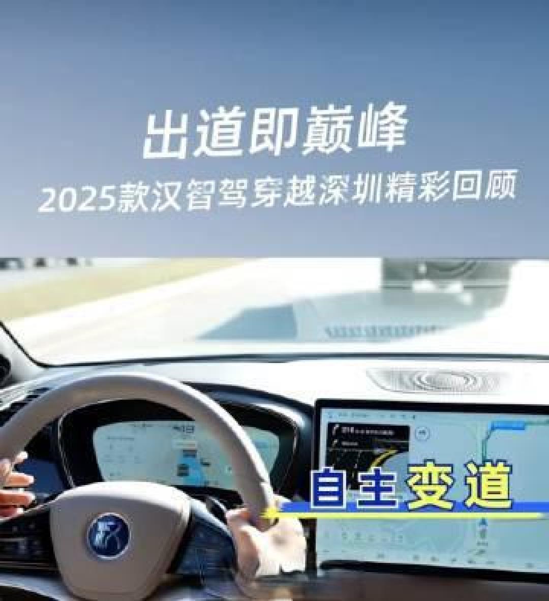 比亚迪南庄车展:政企补贴叠加智驾普惠,海洋网单日销量破200台