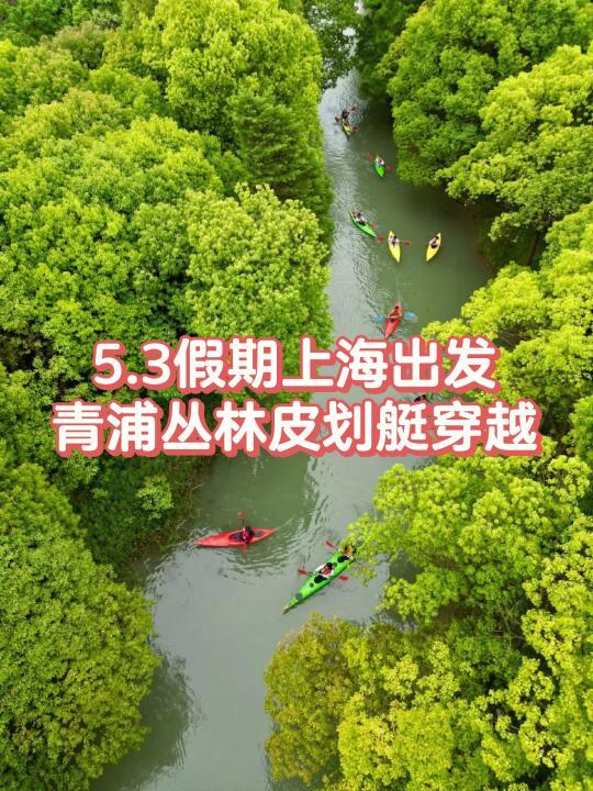 5.3假期上海出发/青浦丛林皮划艇穿越