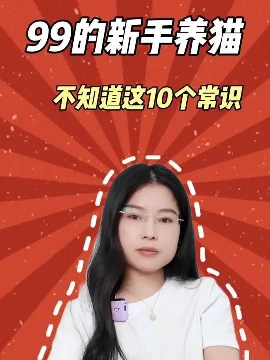 99%新手养猫不知道这10个常识 #新手养猫 #养猫经验分享 #猫咪 #矮脚猫 #曼基康