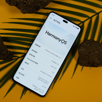 鸿蒙系统+麒麟芯片+512GB，跌至1923元，华为售价真亲民