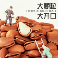 邂逅比比妙，品味东北开口松子的醇香之旅