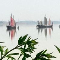 迈可适MicaEco，如何成为安全座椅界的明星？