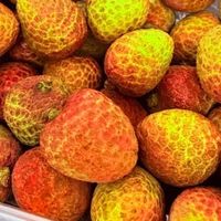 一颗妃子笑荔枝