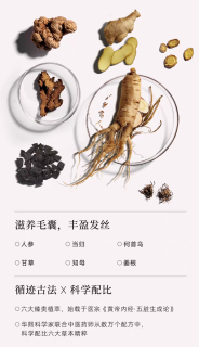 三森万物-拯救脱发的god