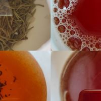 以茶会友第六季——分享下五月份我新喝到的茶！