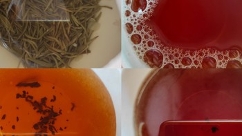 以茶会友第六季——分享下五月份我新喝到的茶！