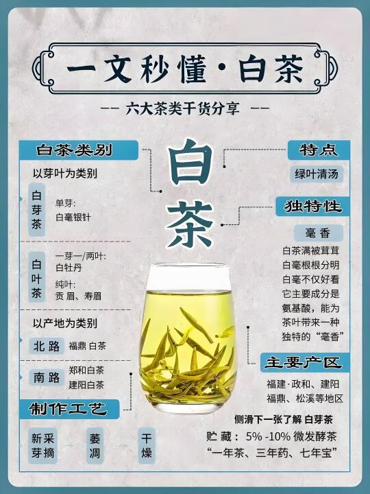 六大茶类-白茶知识，你了解多少？