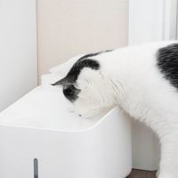 怕猫咬电线？这款无线饮水机让我出差半月，回家水质依然干净！
