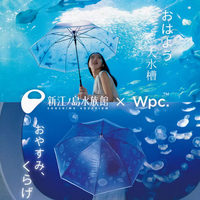 Wpc 新款 plantica 联名系列透明伞：功能与美观的完美结合