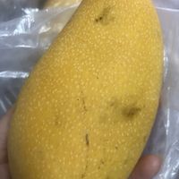 春季芒果：营养与美味兼备
