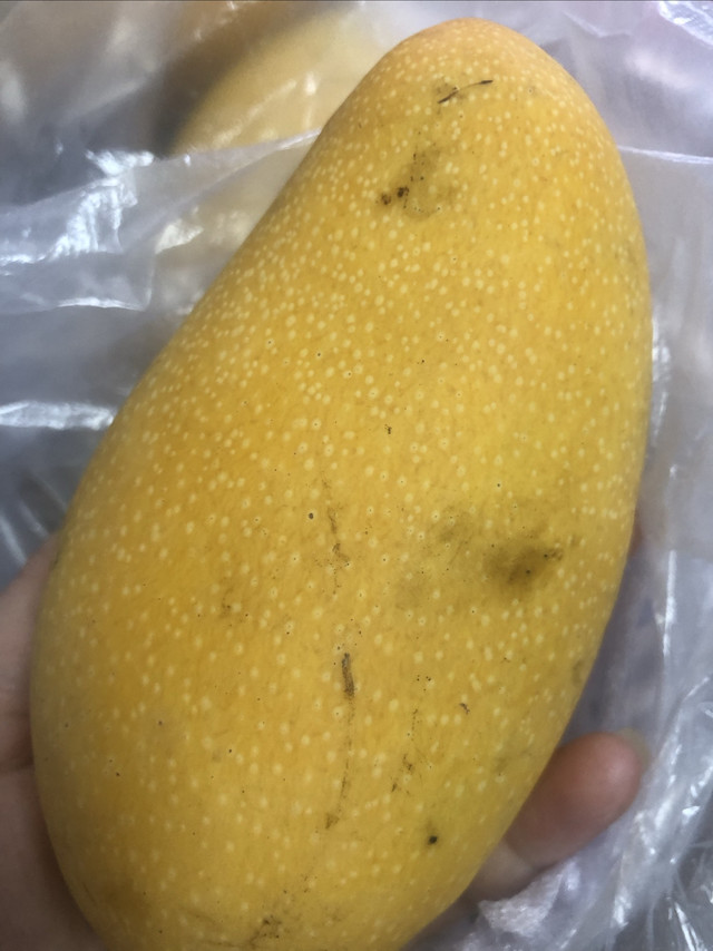 春季芒果：营养与美味兼备