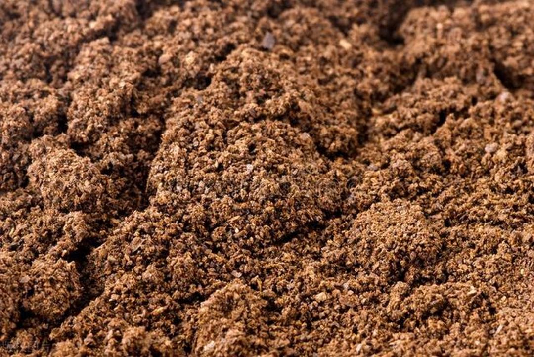 咖啡渣别扔！解锁清洁除味护肤等8个居家实用妙用