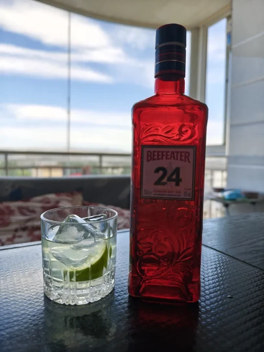 Stirred Gimlet（搅拌的老式琴蕾）