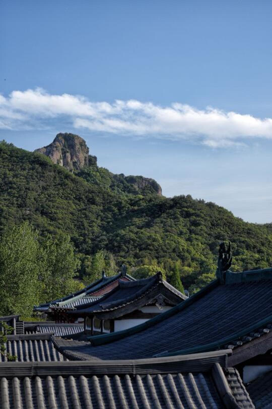 《无忧渡》热播带火实景打卡地：任嘉伦同款拍摄区日均十万客流
