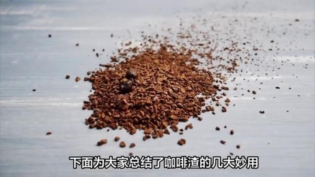 咖啡渣别扔！解锁清洁除味护肤等8个居家实用妙用
