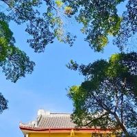 360度定时关机专家功能详解