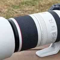 只要4万6 佳能新旗舰EOS R1体验 机内降噪+6K内录+眼控对焦