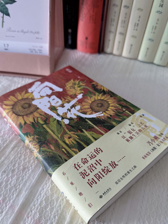 西苑出版社小说