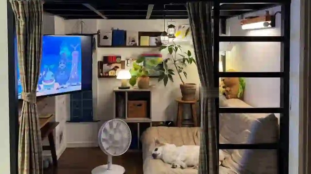 还记得小时候的风吗？