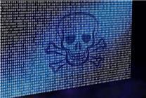 上海破获一起入侵计算机信息系统程序案：自制拍卖外挂软件毫秒级锁定商品