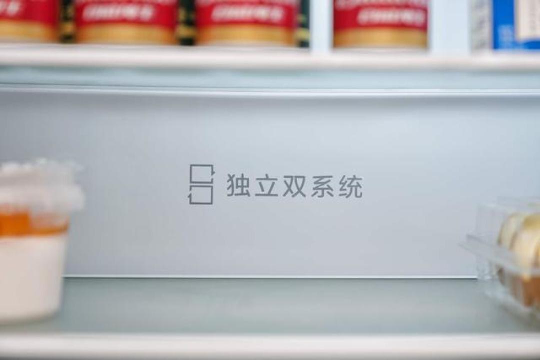 双系统冰箱五大升级优势:独立控温、节能省电、高效除菌全解析