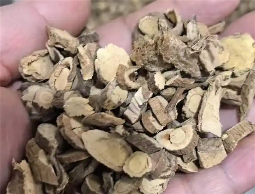 男子煎服15克山豆根中毒 医生:不能盲目相信偏方