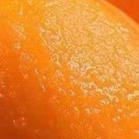 初夏味觉图鉴：寻访枇杷江湖的隐秘坐标