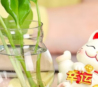 藤蔓摇曳间，招财纳福来：绿萝与招财猫水培花瓶的桌搭美学