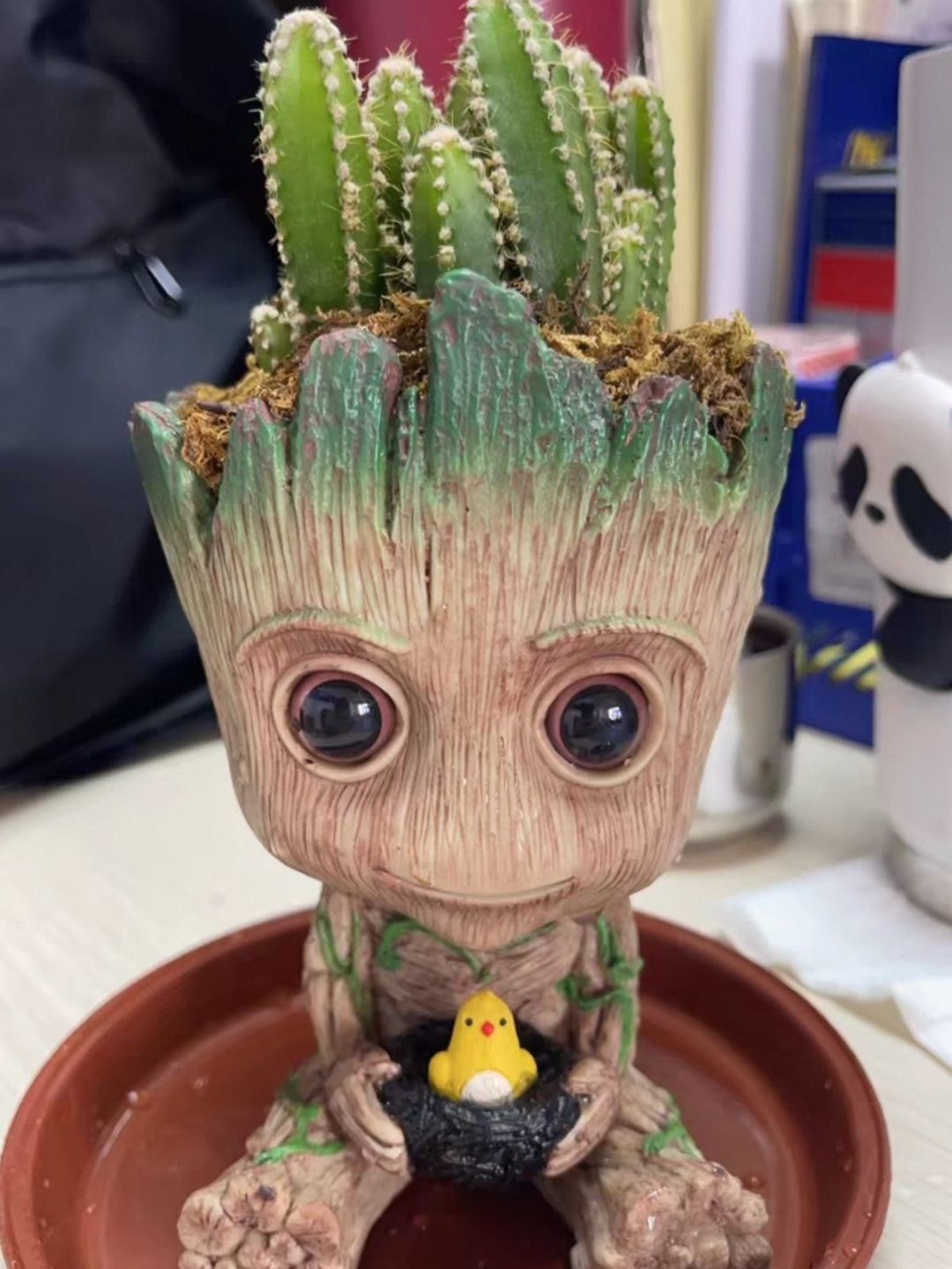 谁说绿植不能可爱?格鲁特盆栽来啦!