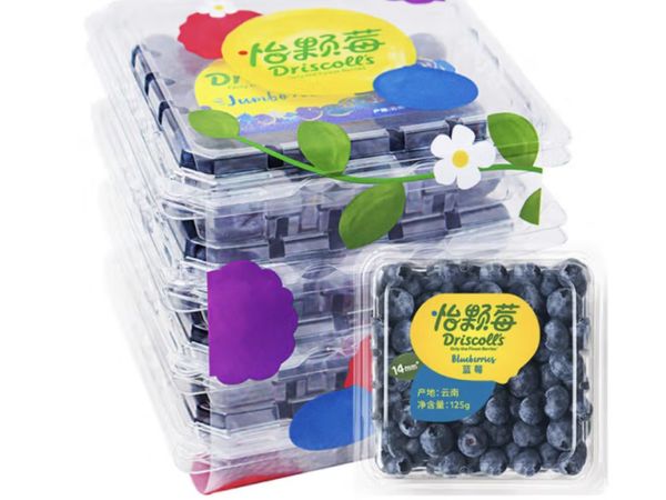 哇塞！这蓝莓也太好吃了！