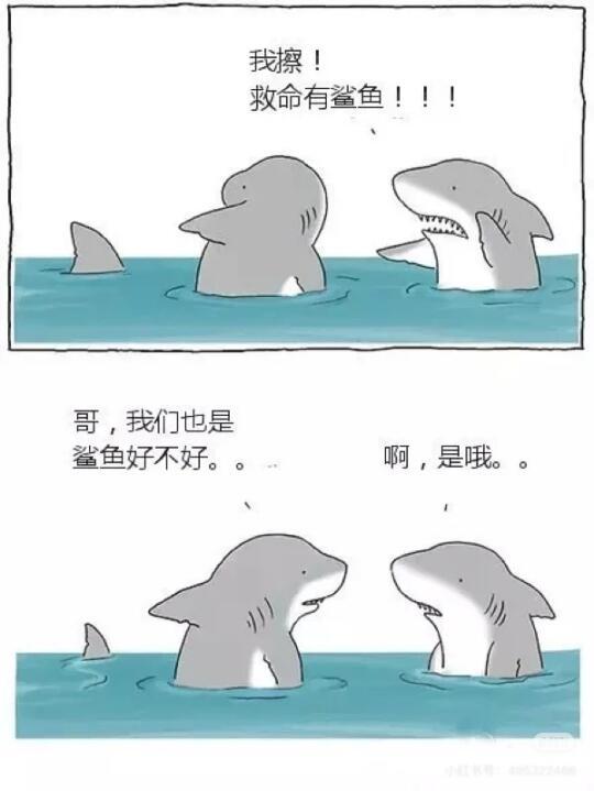 不开心就点进来看看，超治愈的漫画