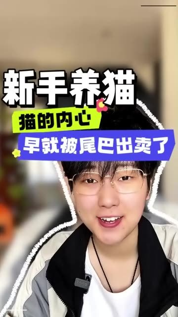 新手养猫 猫咪的内心早就被尾巴给出卖了 这就像他们嘴一样 最能反映出来你家猫此时此刻的心情了 #新手养猫  #养猫的日常  #科学养宠攻略  #猫咪的迷惑行为 