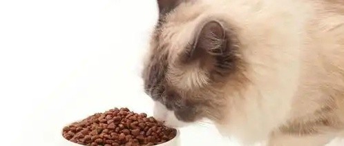 猫粮正常多少钱一斤？十大放心猫粮国产性价比排行榜
