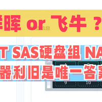 开源&Docker 篇零：25年最新RR黑群晖部署，二手SAS方案，主打0成本0投入！