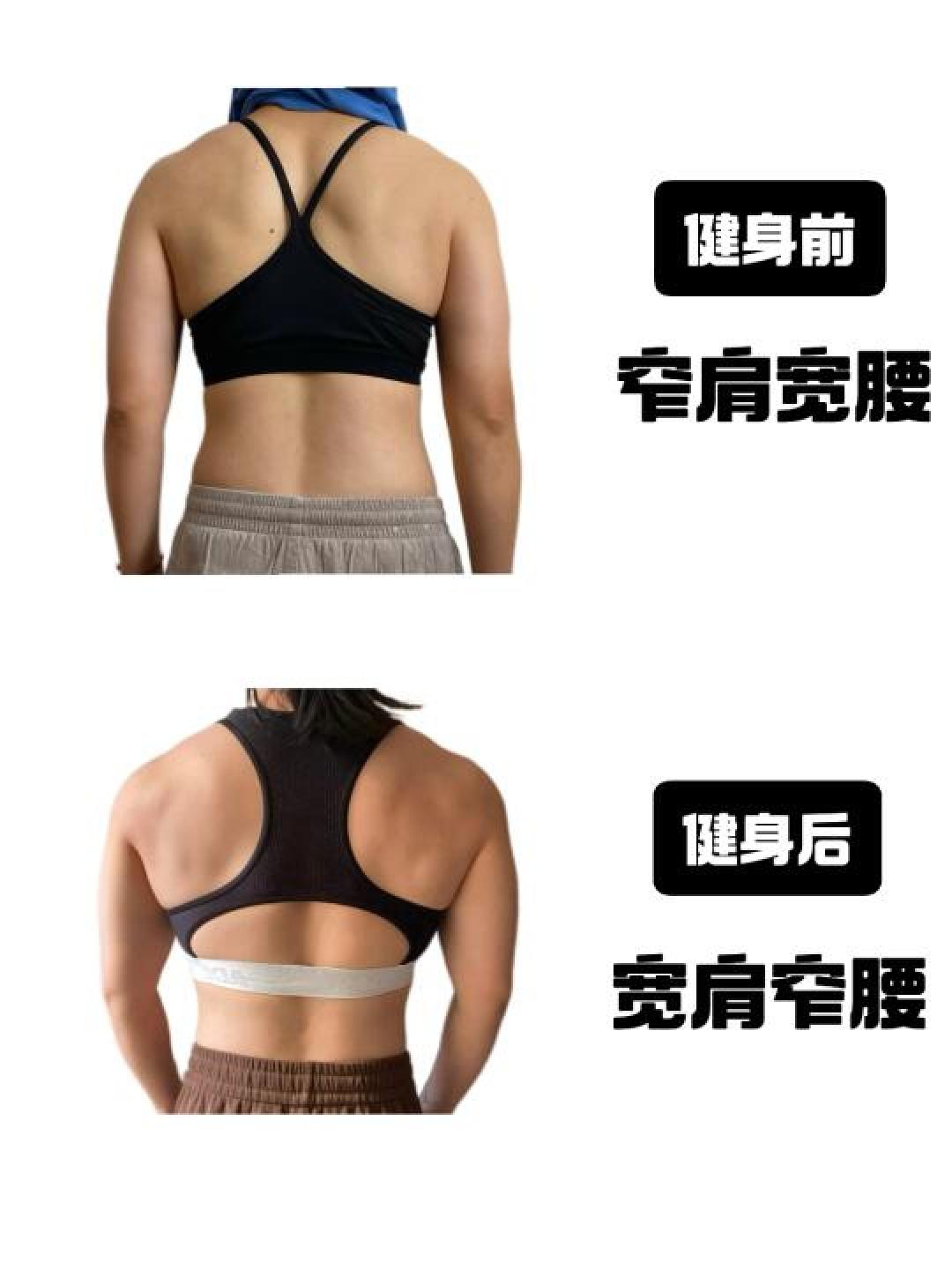 12分钟零器械自重训练:新手高效打造倒三角背全攻略