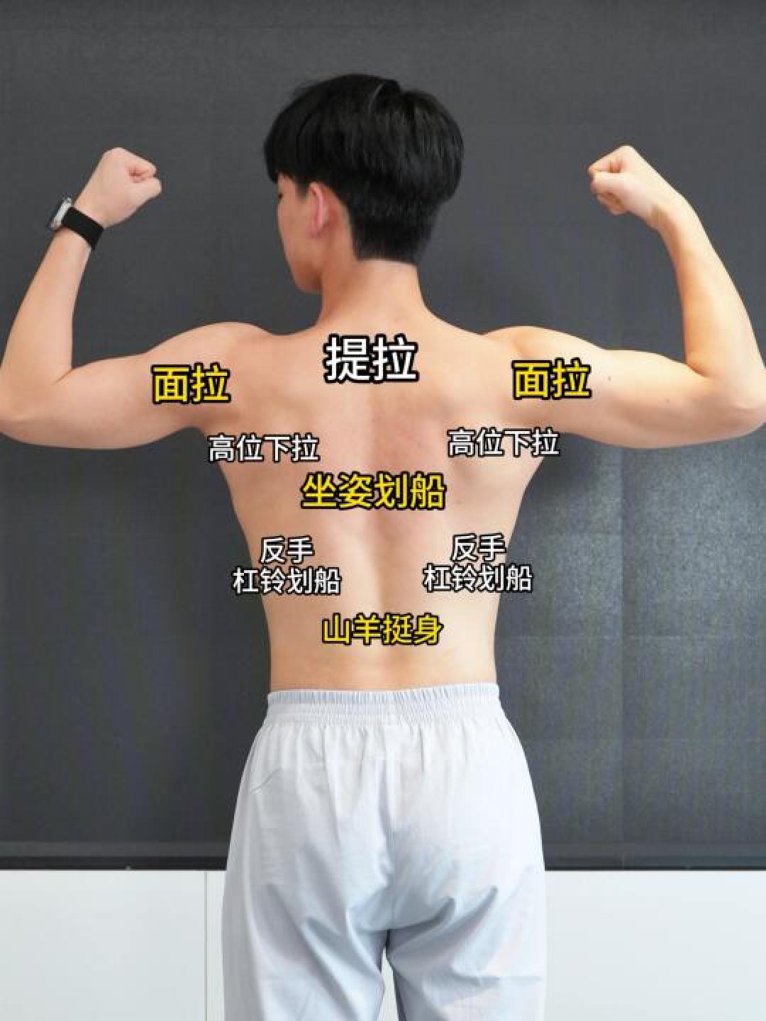 12分钟零器械自重训练:新手高效打造倒三角背全攻略