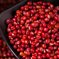 红豆这样做，秒变精致小甜点，香甜软糯有营养，做法简单味道棒