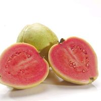 番石榴和芭乐是一个水果吗？真相让人惊讶！