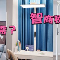 刚需？智商税？爱果乐灵动光大路灯详评