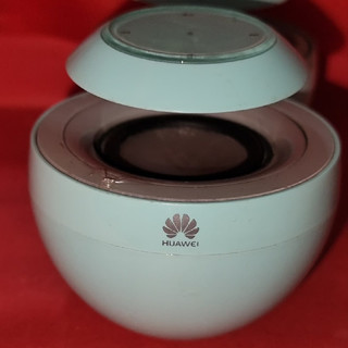 如果我不给你介绍，你能认出来他是什么东西吗？