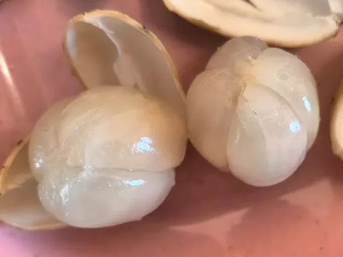 松筱新鲜水果