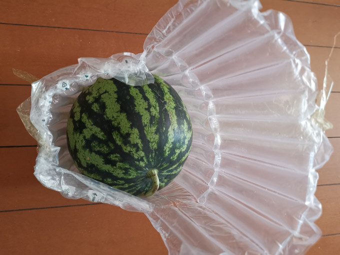 春福乐新鲜水果