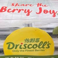 蓝莓季节，味觉与营养的双重享受