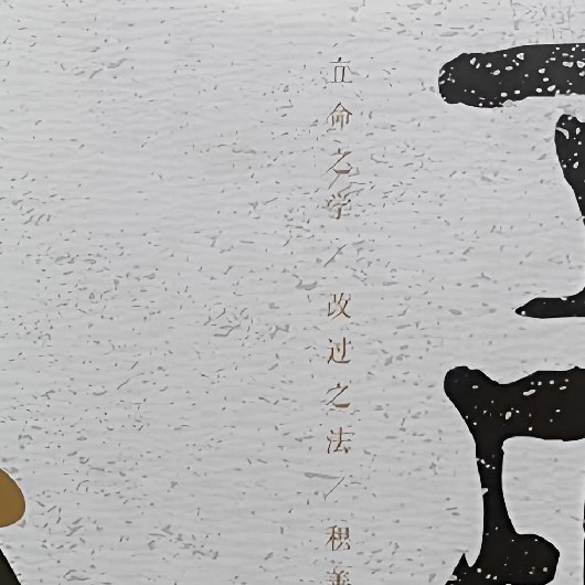 被生活困住时，这本书给了我改写命运的勇气