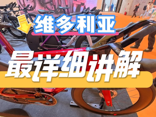 佳沃发布的维多利亚配置太复杂了